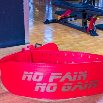 No Pain No Gain belt